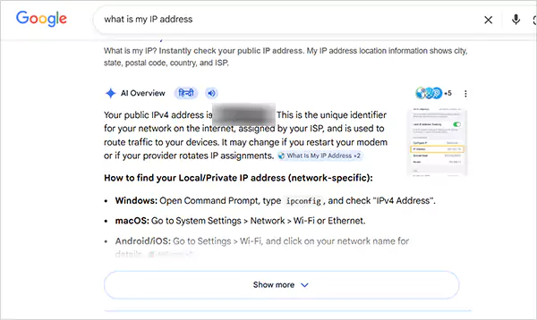 Check your public IP address