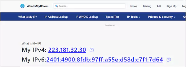 Go to the What is my IP website and check IPv4 and IPv6 addresses